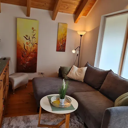 Alpenrose Boutique By Globalimmoservice * 巴德小基希海姆