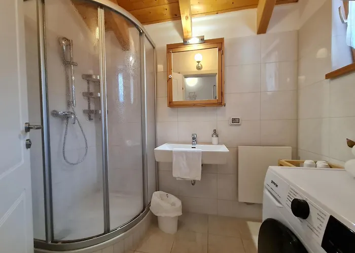 Alpenrose Boutique By Globalimmoservice 公寓 巴德小基希海姆